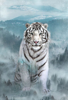 Call Of The Wild White Tiger Hoffman Spectrum DigitalPanel 29 x 43 R4564