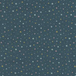 Frosty Fun for Timeless Treasures TTCD1950 Grey With Stars.