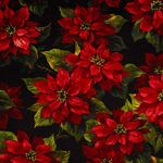 Scarlet Poinsettia by Michael Miller Wideback 108" WBX 3059 Black.